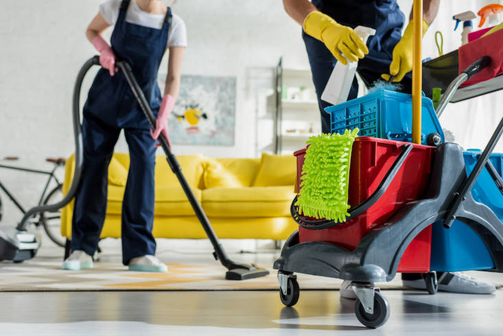 Professional Home Maid